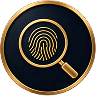 crime insights